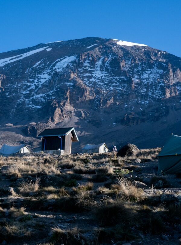 tents in a field