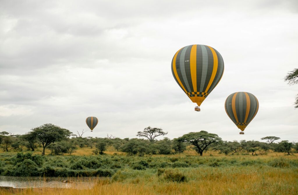 a group of hot air balloons flying over a lush green field