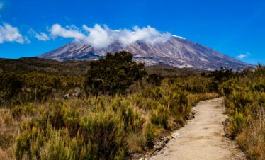 a dirt path with a mountain in the background