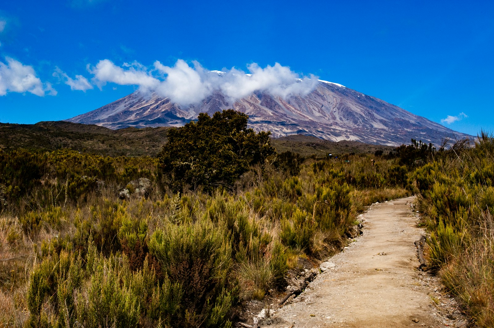 a dirt path with a mountain in the background